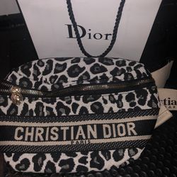 Dior Fanny Pack