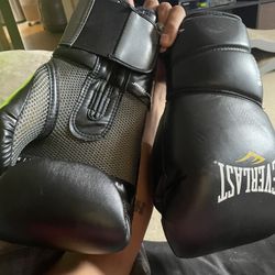 Everlast Protex2