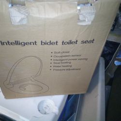 Intelligent Bidet Toilet