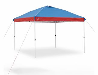 10x 10 new canopy