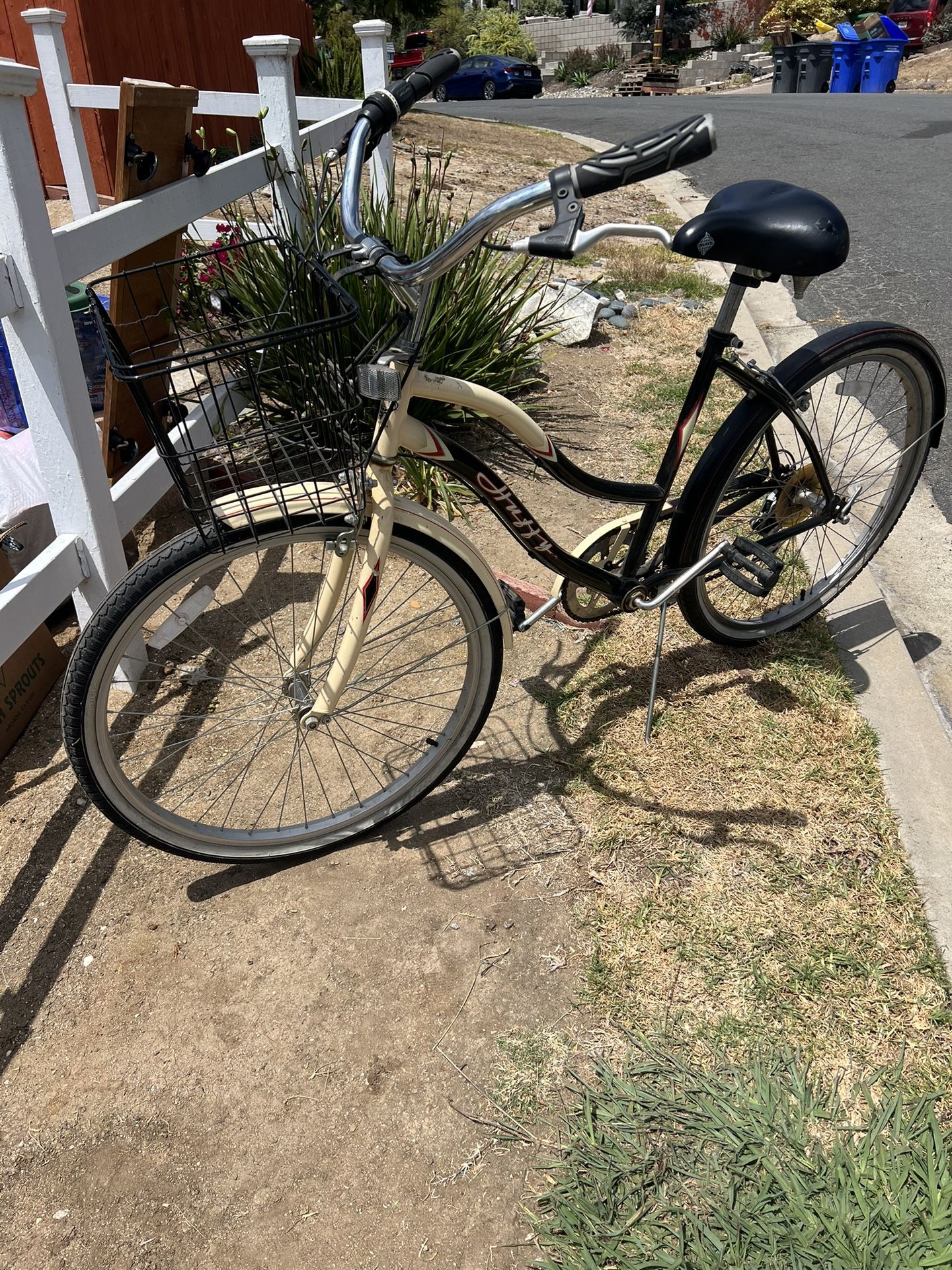 Beach Cruiser, Vintage Beauty