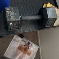 Weights 