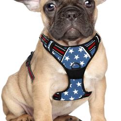 Puppy/small Dog Harness 