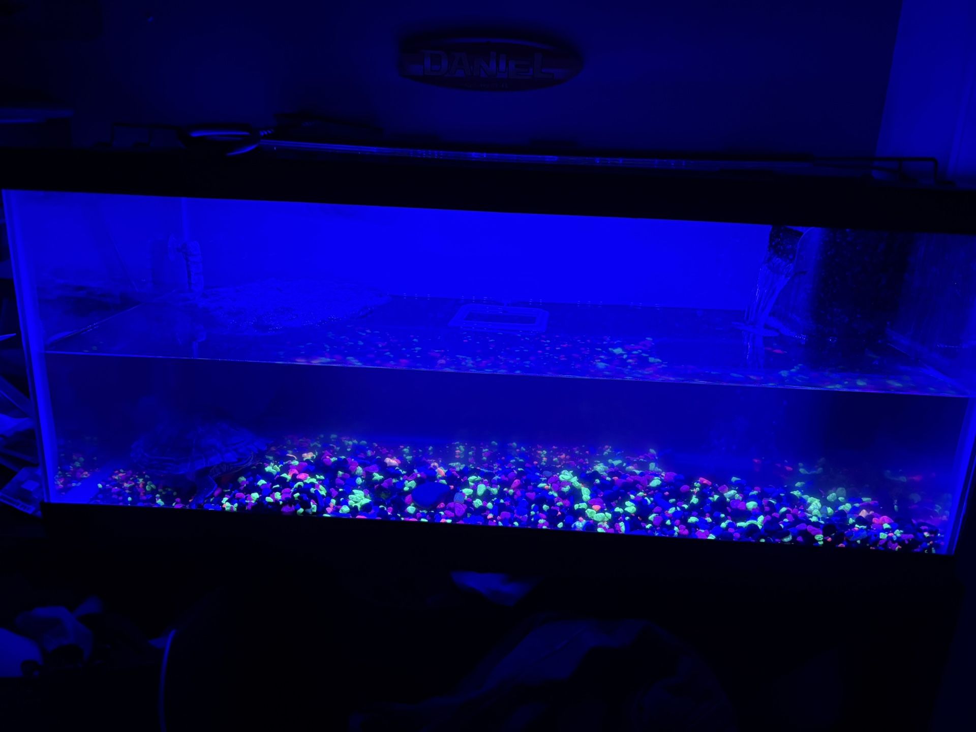 Turtle Tank And Accessories w /turtle