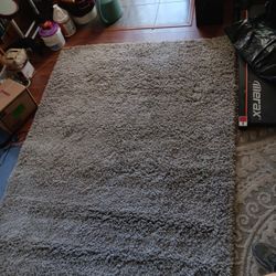 Carpet (Used) 
