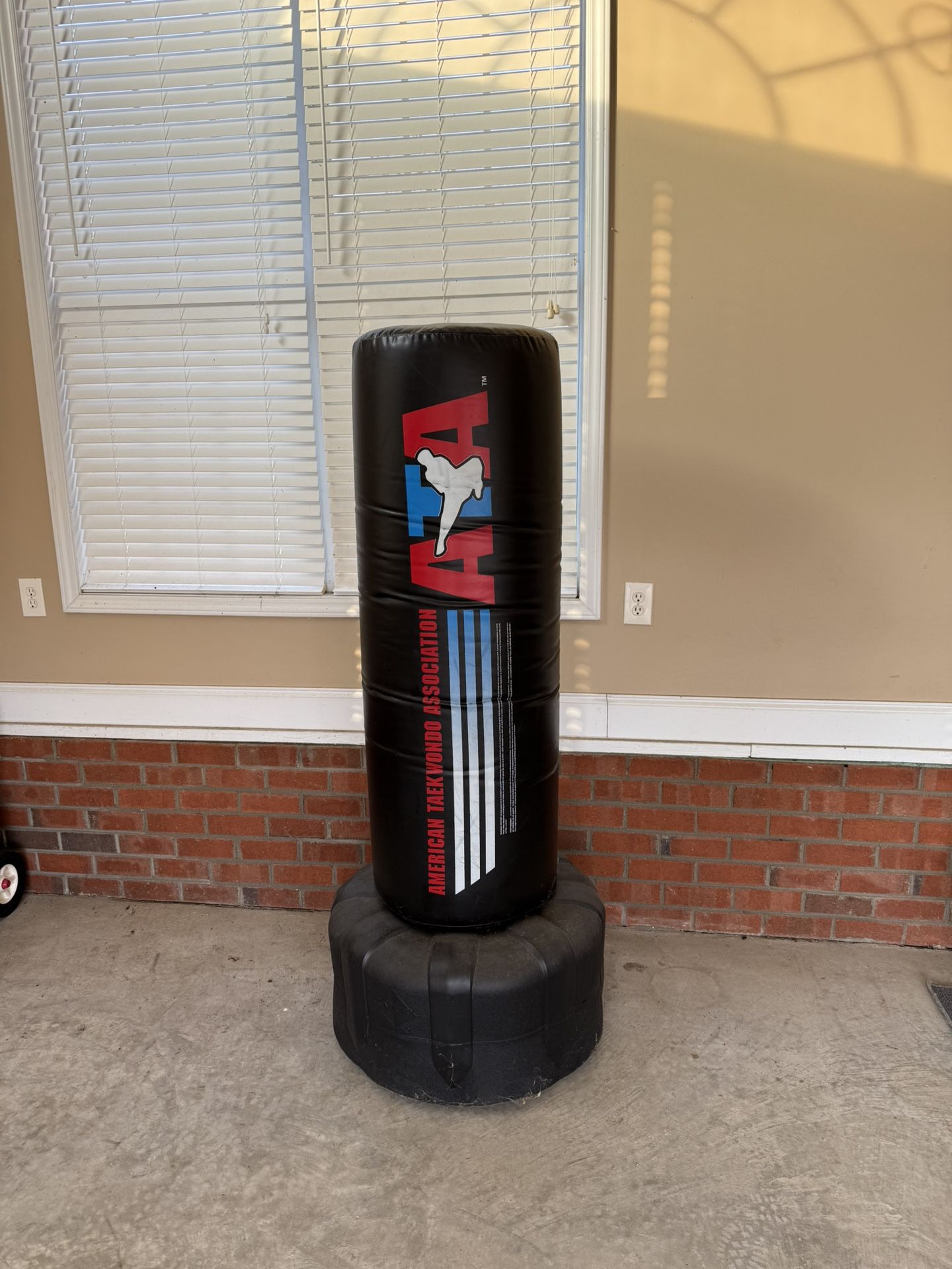 Kicking And Punching Bag ATA