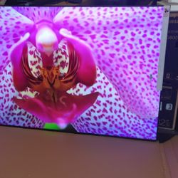 SAMSUNG 98"INCH QLED 4K Q80C 