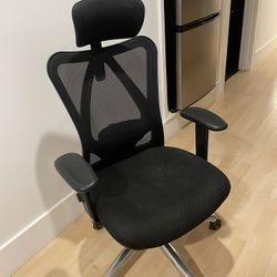 Ergonomic Desk Chair with Headrest