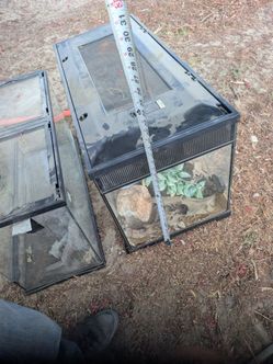 Used Glass Tank with Screen Lid – Fish Tank or Terrarium