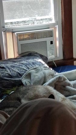 White Window Air Conditioner Unit