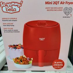 Mini 2 Quart Air Fryer