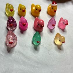 Mini Ducks - 12