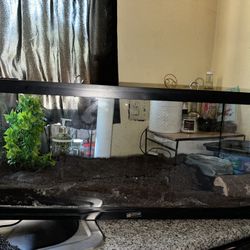 20 Gallon Snake Set Up 