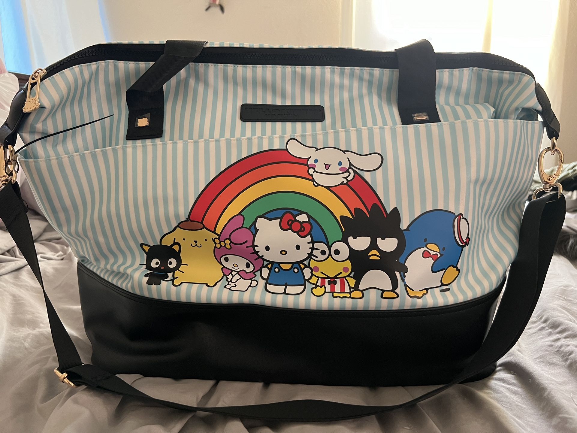 Hello kitty & Friends