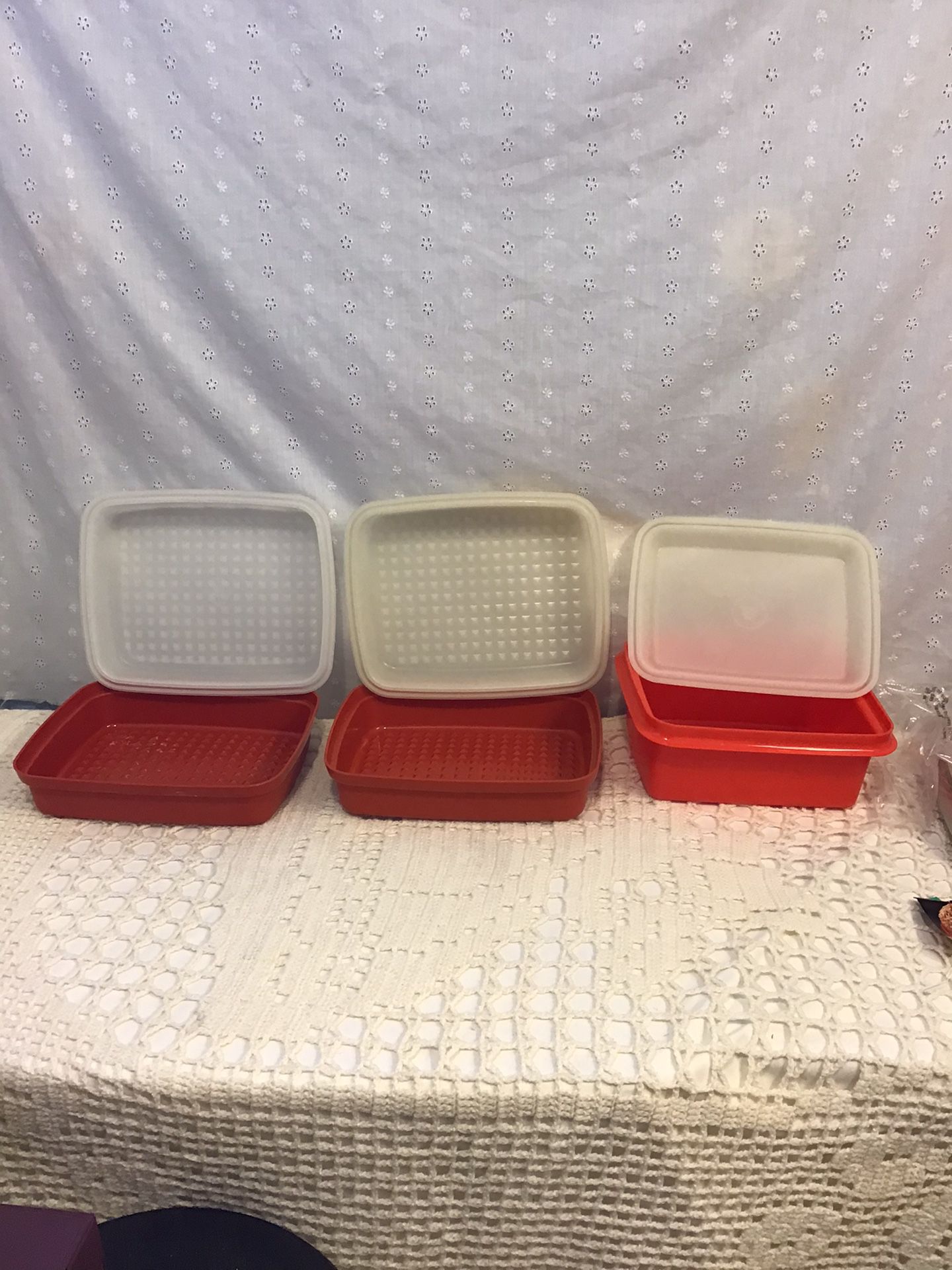 Tupperware . Kitchen Marinade Container , Freezer Keeper, Ice