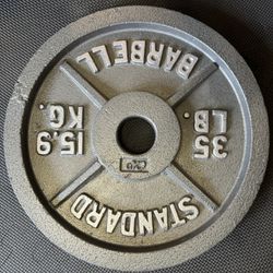 Workout Equipment 35lbs Plate 