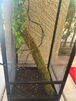 Chameleon cage