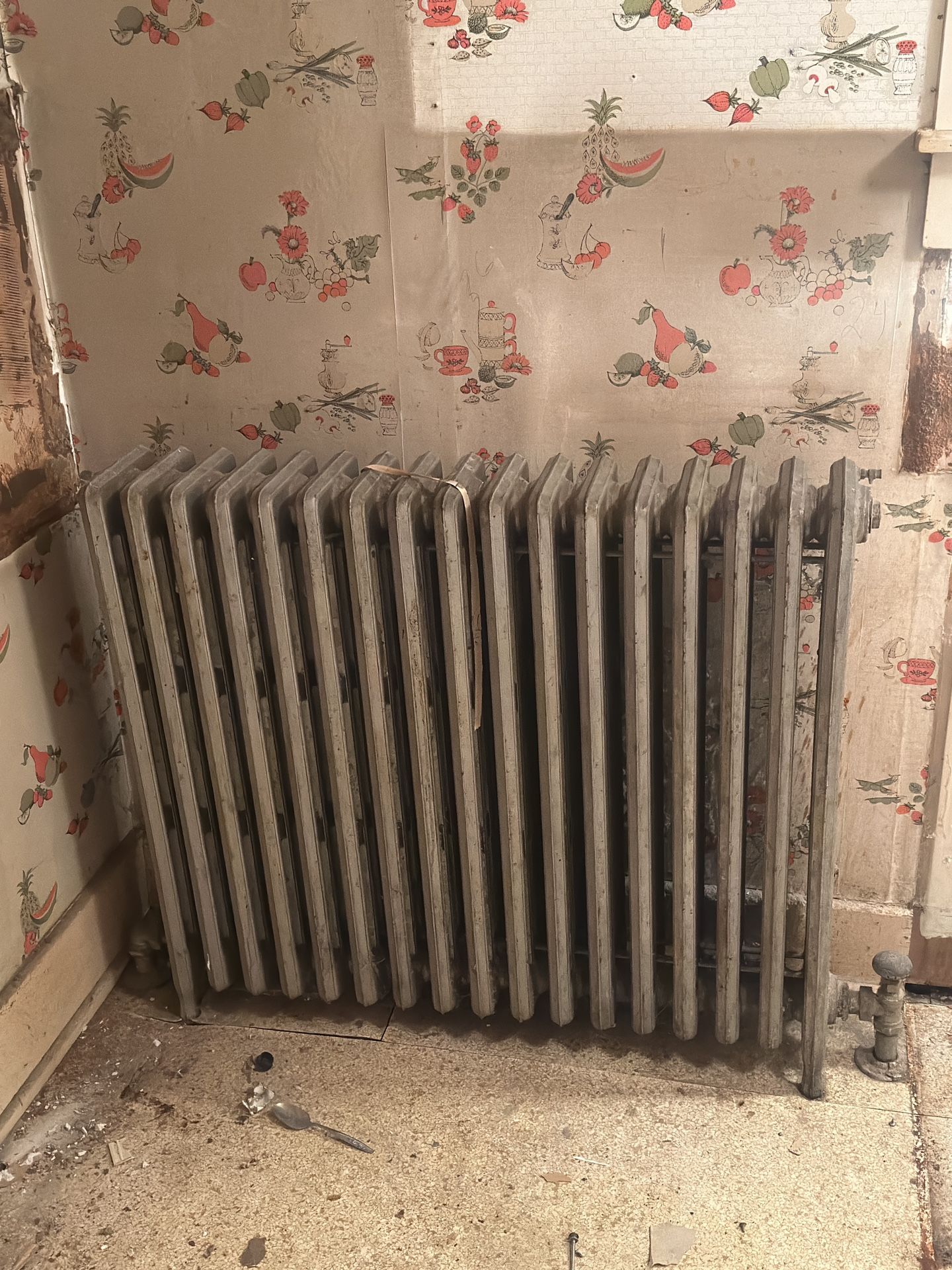 Radiator Heat