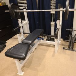 Professional Weight Bench + Weights