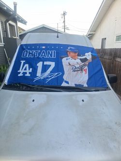 Dodger Flags