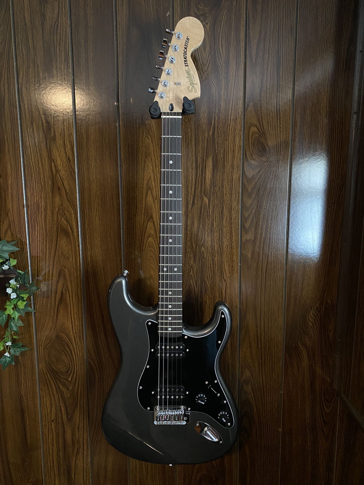 Squier Strat (New)