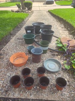 Plant pots lot only 5$. TODO junto macetero