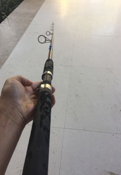Fishing rod