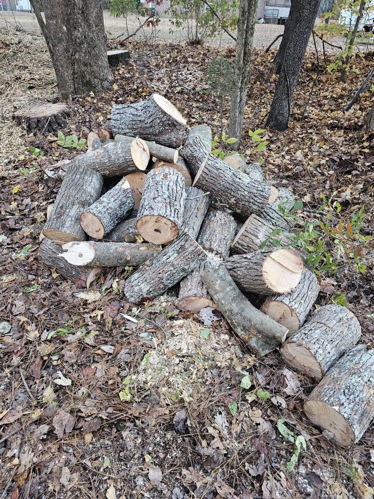Free Firewood