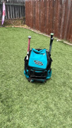 Baseball rolling bag.