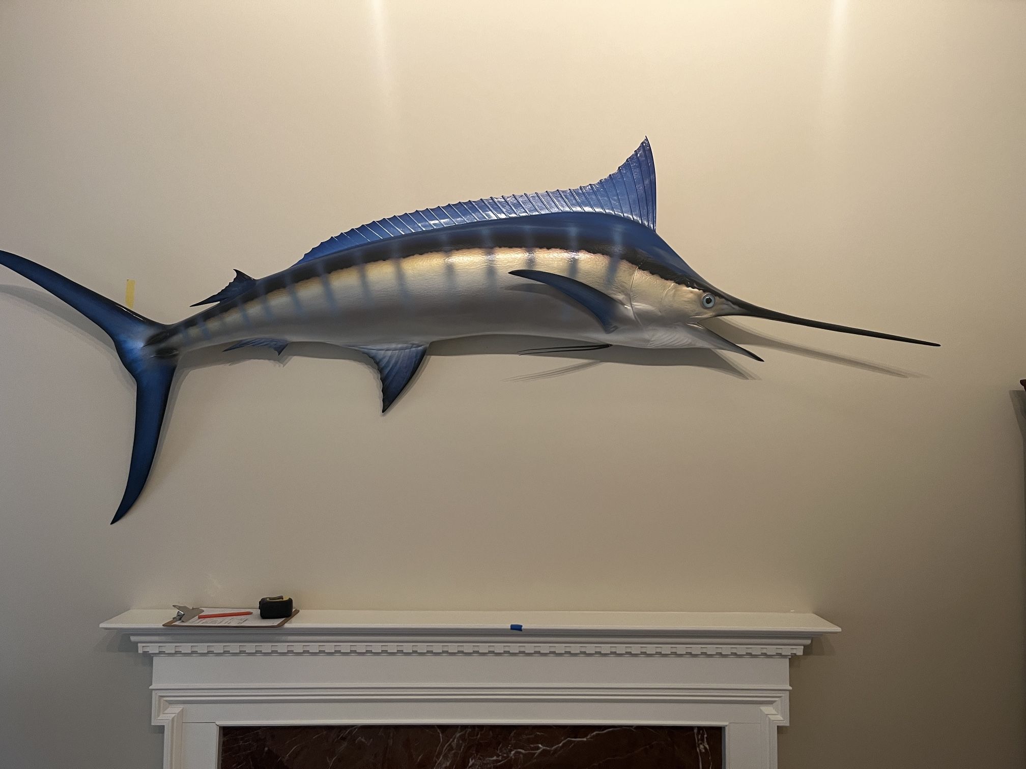 Fish Taxidermy