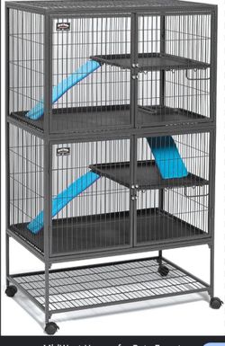 Rat cage