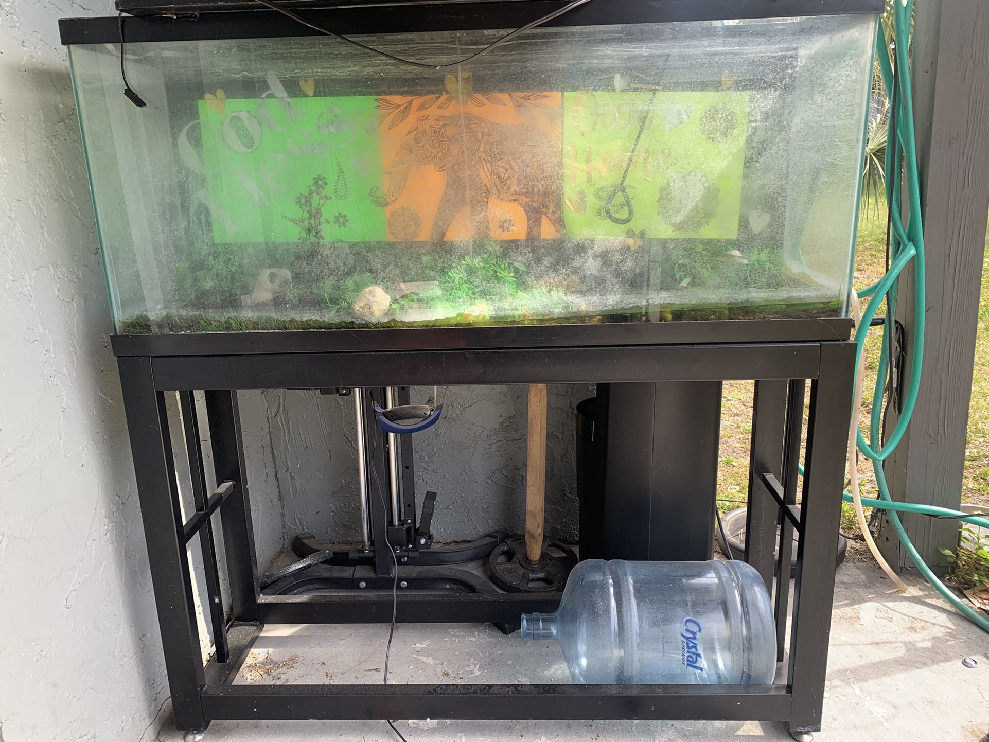 60gal Fish Tank And Metal Frame(accept Best Offer, Must Go)
