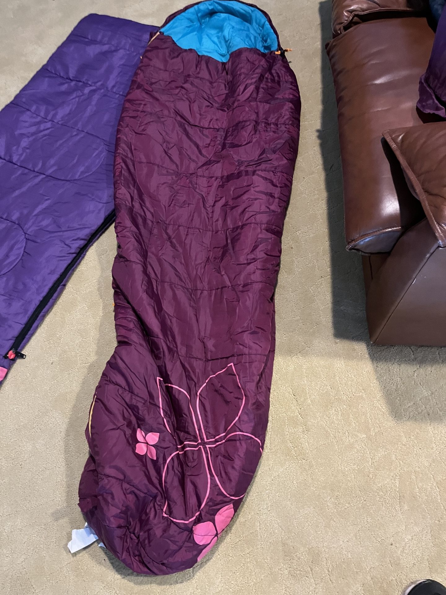 Various Sleeping Bags 