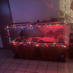 Fish Tank And Stand  220 Gallon 