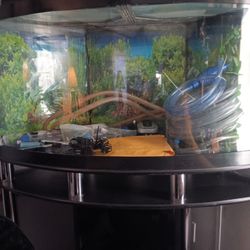 65 Gallon Fish Tank 