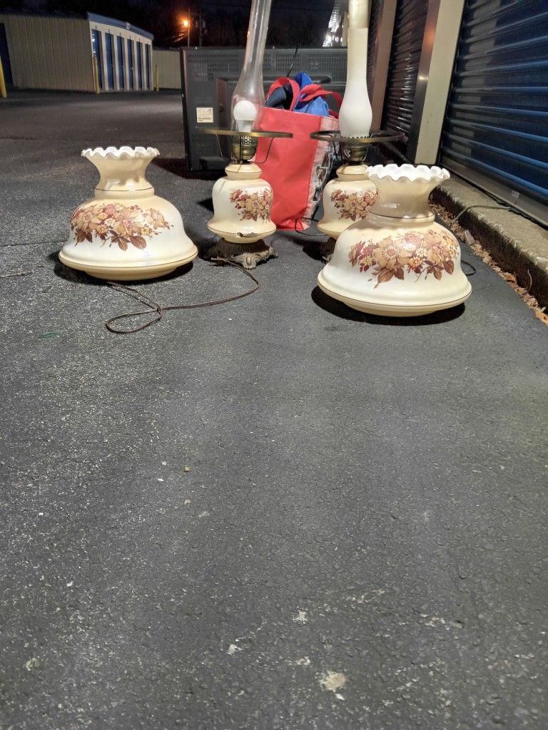 1970 Italian Flower Lamps