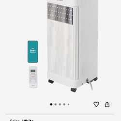 Portable AC with Dehumidifier 