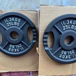 Olympic Weights  25 Lb Pairs 