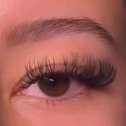 Lashes 