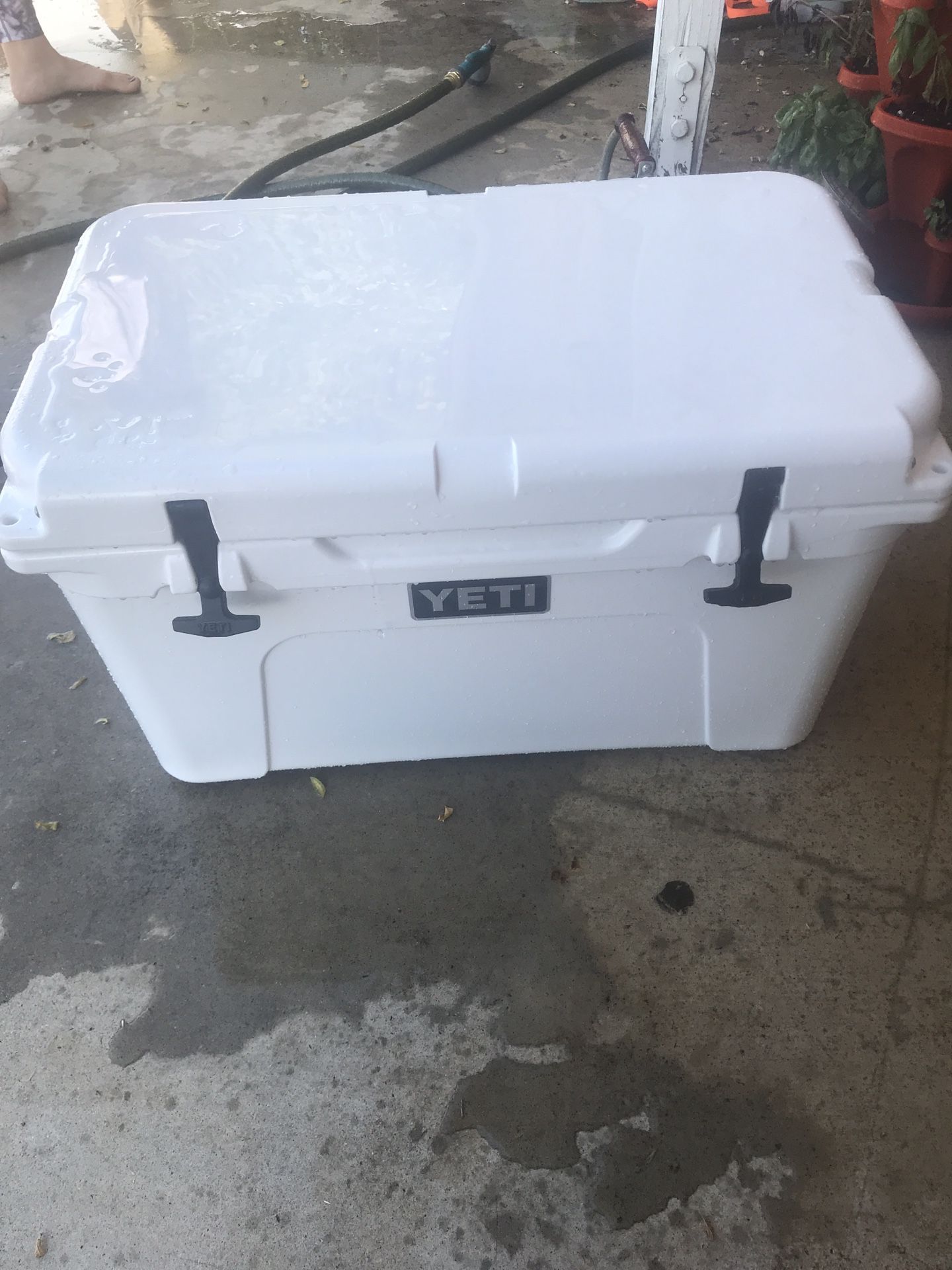 Yeti cooler