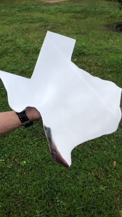 Stainless Steel Texas Trailer Hitch