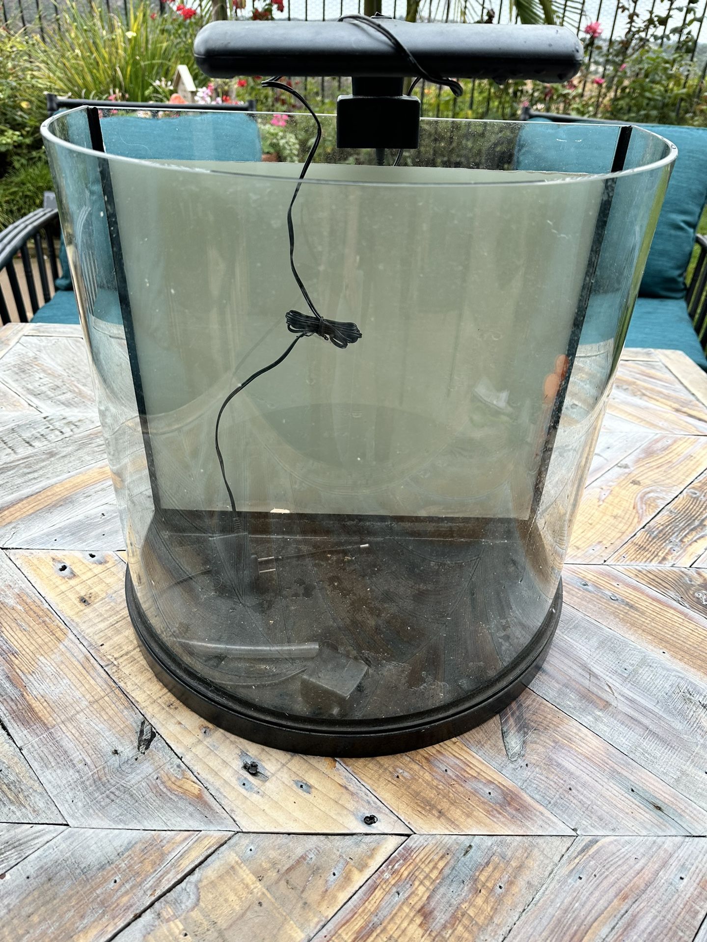 Fish Aquarium