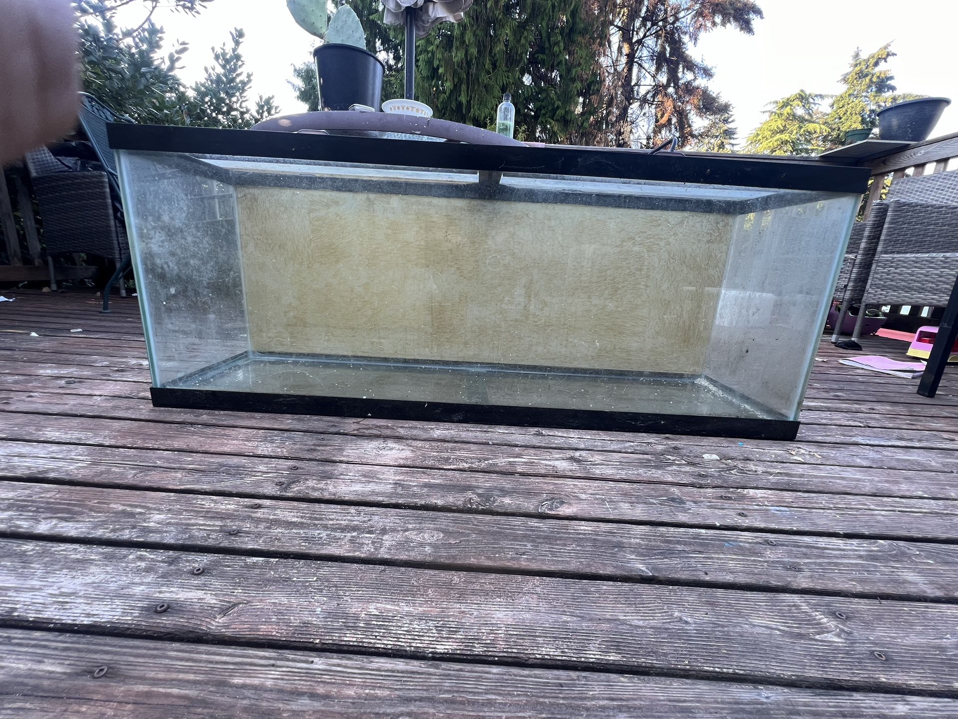 Used Fish Tank