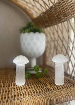 Selenite Mushroom