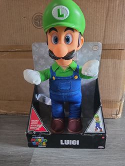 The Super Mario Bros Luigi