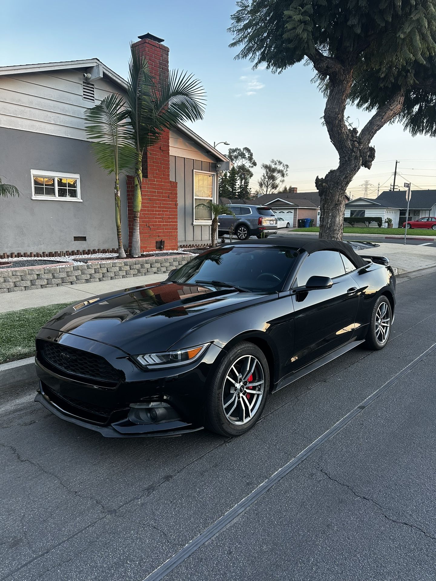 2016 Ford Mustang Convertible W/ Equipment Group