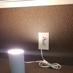 White Plug In Flood Lamp 3.5in X 5.5in 