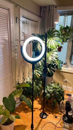 Large Light 