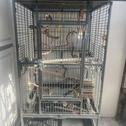 Parrot Cage 