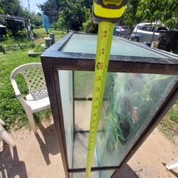 Fish Tank 